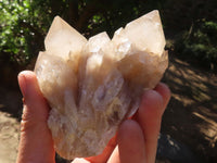 Natural Cascading White Phantom Smokey Quartz Clusters  x 6 From Luena, Congo - Toprock Gemstones and Minerals 