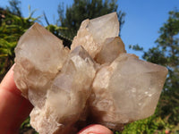 Natural Cascading White Phantom Smokey Quartz Clusters  x 6 From Luena, Congo - Toprock Gemstones and Minerals 