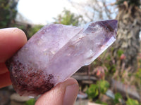 Natural Long Window Amethyst Quartz Crystals  x 12 From Chiredzi, Zimbabwe