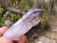 Natural Long Window Amethyst Quartz Crystals  x 12 From Chiredzi, Zimbabwe