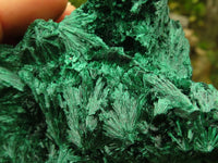 Natural Chatoyant Silky Malachite Specimens  x 2 From Congo - Toprock Gemstones and Minerals 