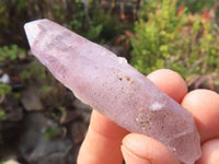 Natural Long Window Amethyst Quartz Crystals  x 12 From Chiredzi, Zimbabwe