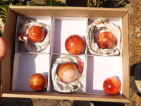 Polished Small Carnelian Agate Spheres  x 6 From Madagascar