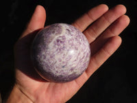 Polished Purple Lepidolite Spheres  x 3 From Zimbabwe - Toprock Gemstones and Minerals 