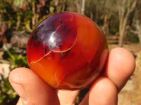 Polished Small Carnelian Agate Spheres  x 6 From Madagascar