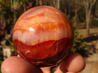 Polished Small Carnelian Agate Spheres  x 6 From Madagascar