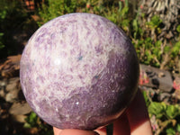 Polished Purple Lepidolite Spheres  x 3 From Zimbabwe - Toprock Gemstones and Minerals 