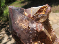 Natural Red Hematite Phantom Quartz Specimens  x 12 From Karoi, Zimbabwe - TopRock