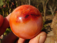 Polished Small Carnelian Agate Spheres  x 6 From Madagascar