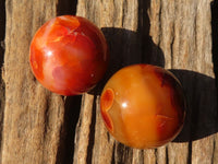 Polished Small Carnelian Agate Spheres  x 6 From Madagascar