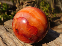 Polished Small Carnelian Agate Spheres  x 6 From Madagascar