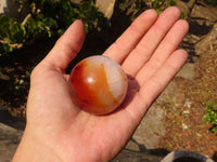 Polished Small Carnelian Agate Spheres  x 6 From Madagascar