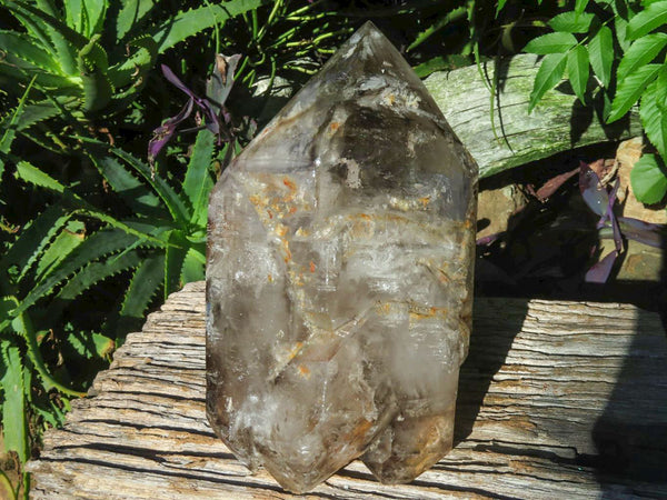 Cristal de cuarzo ahumado extra grande pulido con doble terminación para ventana x 1 de Ankazobe, Madagascar