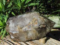 Polished Extra Large Double Terminated Smokey Window Quartz Crystal x 1 From Ankazobe, Madagascar