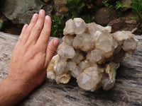 Natural Large Splayed Cascading Smokey Quartz Cluster  x 1 From Luena, Congo - TopRock