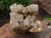 Natural Large Splayed Cascading Smokey Quartz Cluster  x 1 From Luena, Congo - TopRock