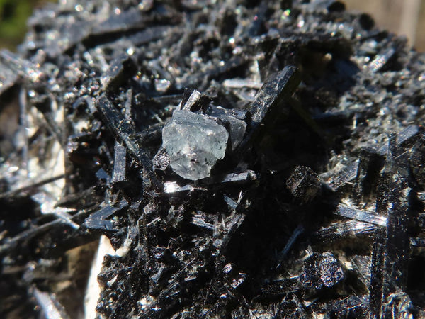 Natural Schorl Black Tourmaline Specimen With Hyalite Opal x 1 From Erongo, Namibia