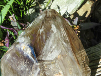 Polished Extra Large Double Terminated Smokey Window Quartz Crystal x 1 From Ankazobe, Madagascar