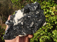 Natural Schorl Black Tourmaline Specimen With Hyalite Opal x 1 From Erongo, Namibia