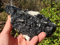 Natural Schorl Black Tourmaline Specimen With Hyalite Opal x 1 From Erongo, Namibia