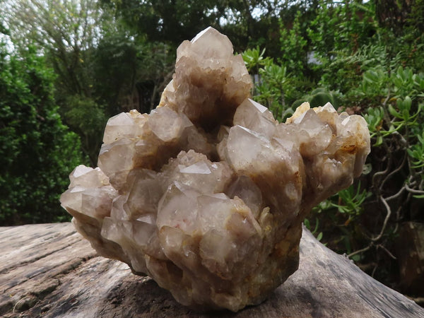 Natural Large Splayed Cascading Smokey Quartz Cluster  x 1 From Luena, Congo - TopRock