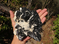 Natural Schorl Black Tourmaline Specimen With Hyalite Opal x 1 From Erongo, Namibia