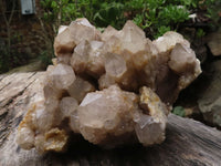 Natural Large Splayed Cascading Smokey Quartz Cluster  x 1 From Luena, Congo - TopRock