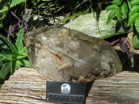 Polished Extra Large Double Terminated Smokey Window Quartz Crystal x 1 From Ankazobe, Madagascar