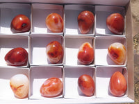 Polished Gorgeous Deep Red Carnelian Agate Eggs  x 12 From Madagascar - TopRock