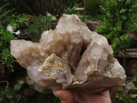 Natural Large Splayed Cascading Smokey Quartz Cluster  x 1 From Luena, Congo - TopRock