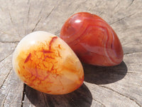 Polished Gorgeous Deep Red Carnelian Agate Eggs  x 12 From Madagascar - TopRock