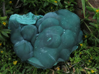 Natural Botryoidal Malachite Specimen x 1 From Kolwezi Congo - TopRock