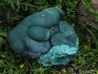 Natural Botryoidal Malachite Specimen x 1 From Kolwezi Congo - TopRock