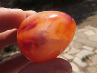 Polished Gorgeous Deep Red Carnelian Agate Eggs  x 12 From Madagascar - TopRock