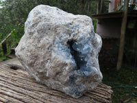 Natural XL Celestite Geode x 1 From Sakoany, Madagascar - TopRock