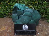 Natural Botryoidal Malachite Specimen x 1 From Kolwezi Congo - TopRock