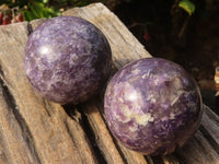 Polished  Purple Lepidolite Spheres  x 3 From Madagascar