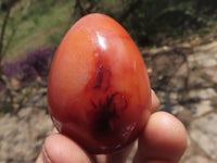 Polished Gorgeous Deep Red Carnelian Agate Eggs  x 12 From Madagascar - TopRock