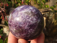 Polished  Purple Lepidolite Spheres  x 3 From Madagascar