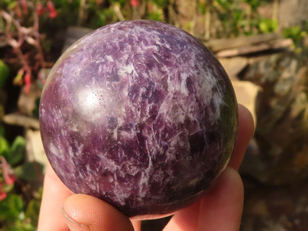 Polished  Purple Lepidolite Spheres  x 3 From Madagascar