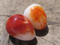 Polished Gorgeous Deep Red Carnelian Agate Eggs  x 12 From Madagascar - TopRock