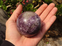 Polished  Purple Lepidolite Spheres  x 3 From Madagascar