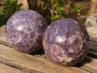 Polished  Purple Lepidolite Spheres  x 3 From Madagascar