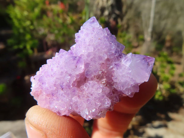 Natural Single Spirit Amethyst Quartz Crystals x 70 From Boekenhouthoek, South Africa