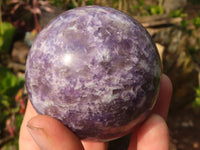 Polished  Purple Lepidolite Spheres  x 3 From Madagascar