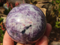 Polished  Purple Lepidolite Spheres  x 3 From Madagascar