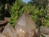 Natural Cascading White Phantom Smokey Quartz Clusters  x 2 From Luena, Congo - Toprock Gemstones and Minerals 