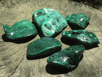 Polished Malachite Free Forms With Stunning Flower & Banding Patterns x 6 From Congo - TopRock