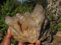 Natural Cascading White Phantom Smokey Quartz Clusters  x 2 From Luena, Congo - Toprock Gemstones and Minerals 