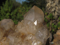 Natural Cascading White Phantom Smokey Quartz Clusters  x 2 From Luena, Congo - Toprock Gemstones and Minerals 